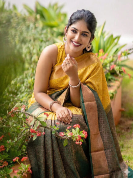 Kanchipuram Soft Silk Sarees
